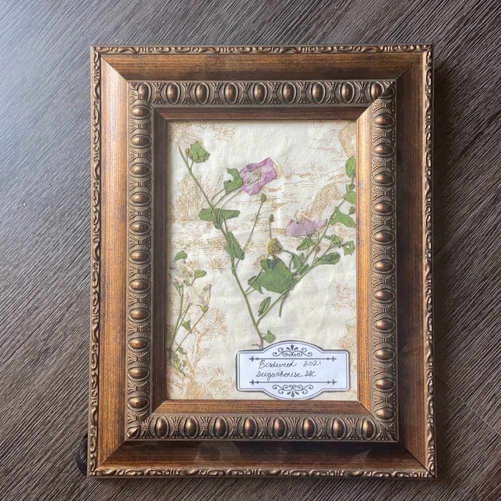 Pressed flowers in frame